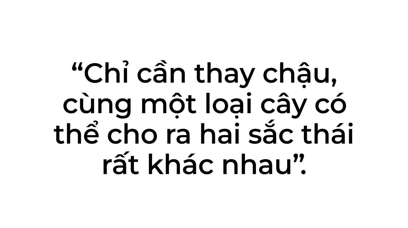 Vai trò của chậu cây cảnh 