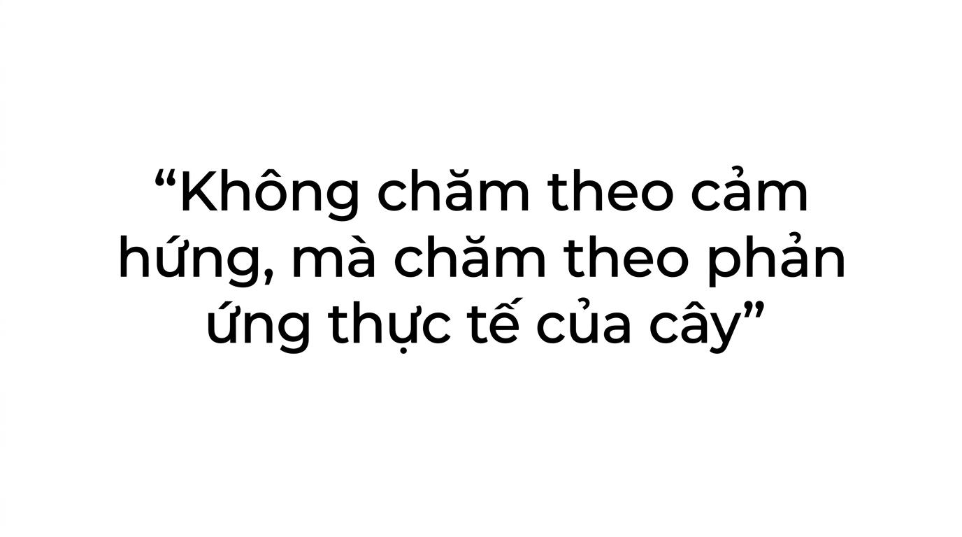 Không chăm theo cảm hứng