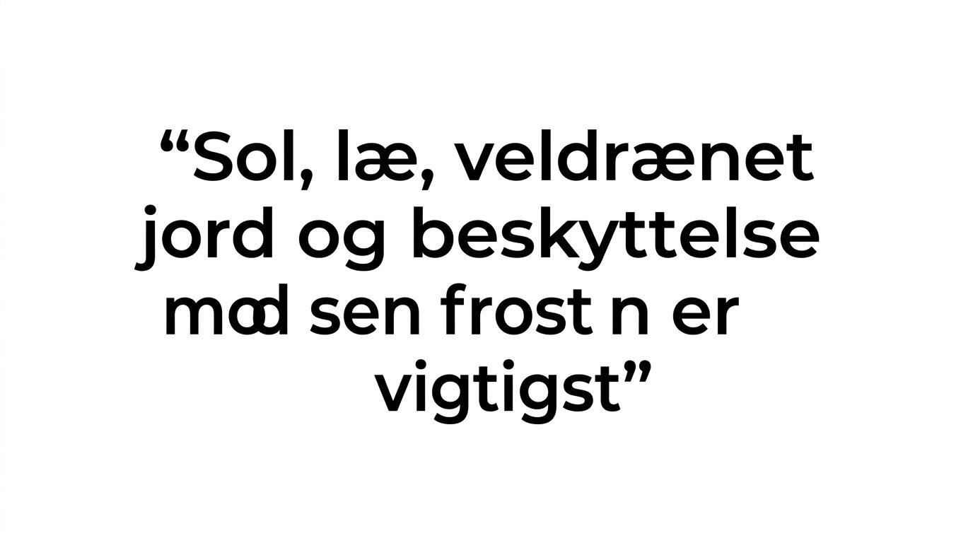 Fremhævet citat med teksten: Placering betyder næsten alt.