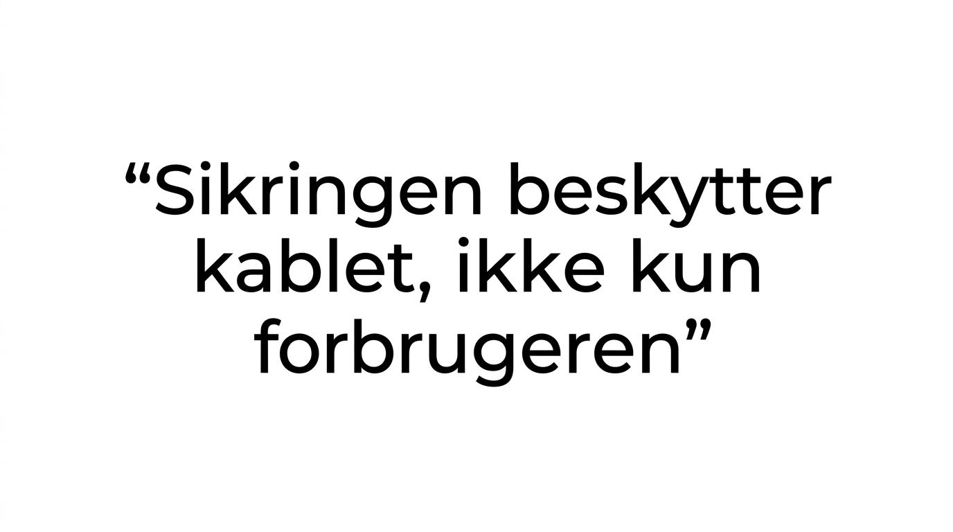 Quote highlight med teksten: 'Sikringen beskytter kablet, ikke kun forbrugeren.'