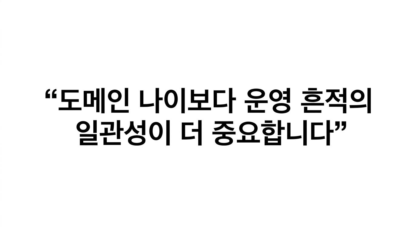 ‘도메인 나이는 출발점일 뿐 종착점이 아니다’라는 핵심 문장을 강조한 인용구 이미지.