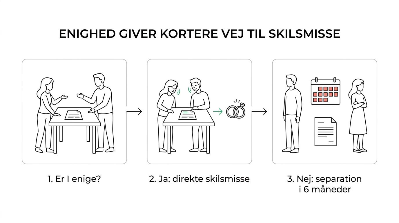 Flowchart over skilsmisseforløb i Danmark med to spor: direkte skilsmisse ved enighed og separation i 6 måneder ved uenighed, med mulig vilkårsforhandling.