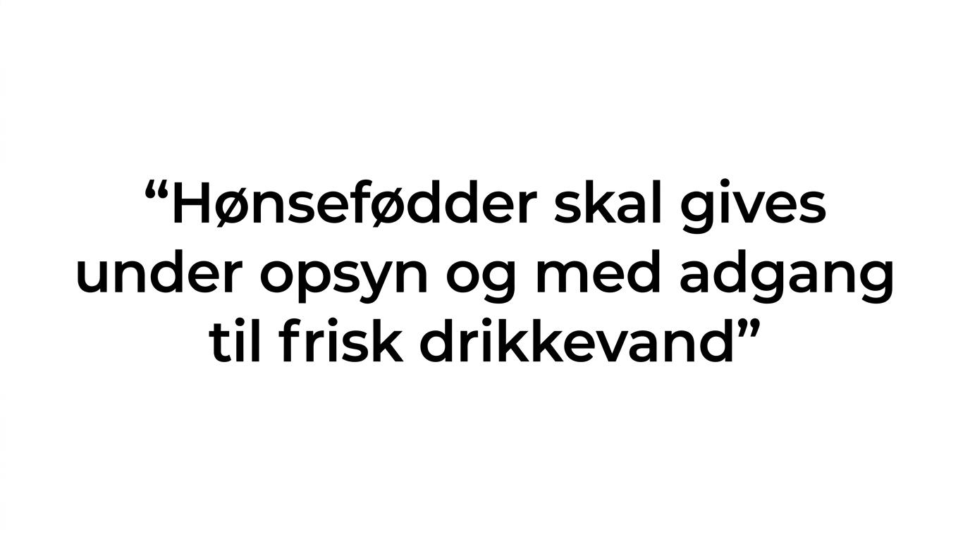 Citatkort med anbefalingen om at give hønsefødder under opsyn og med adgang til frisk drikkevand.