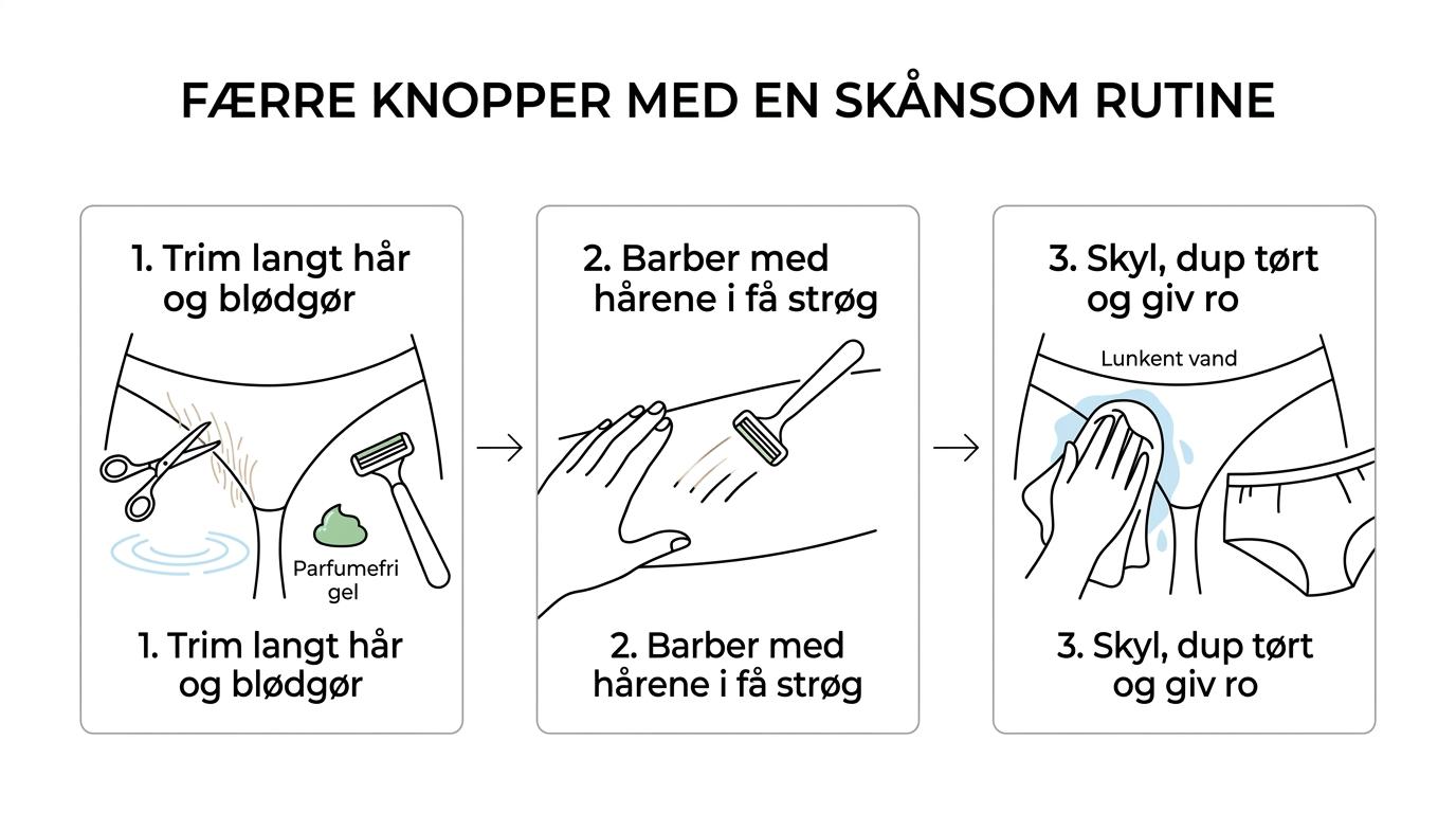 Tre-trins proces for skånsom intimbarbering: forbered huden, barber med hårene i korte strøg, og giv huden ro bagefter.
