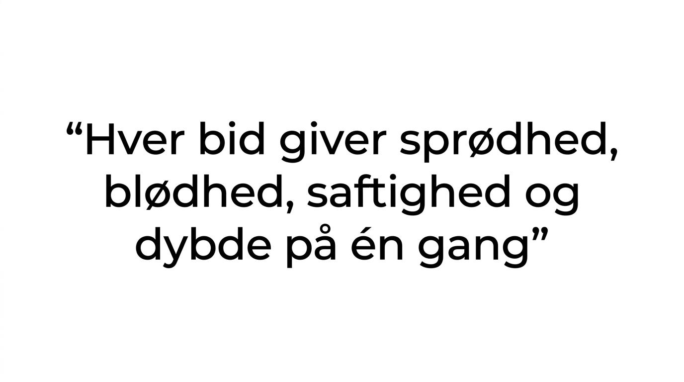 Highlighted Danish quote about katsu sando being precisely composed.