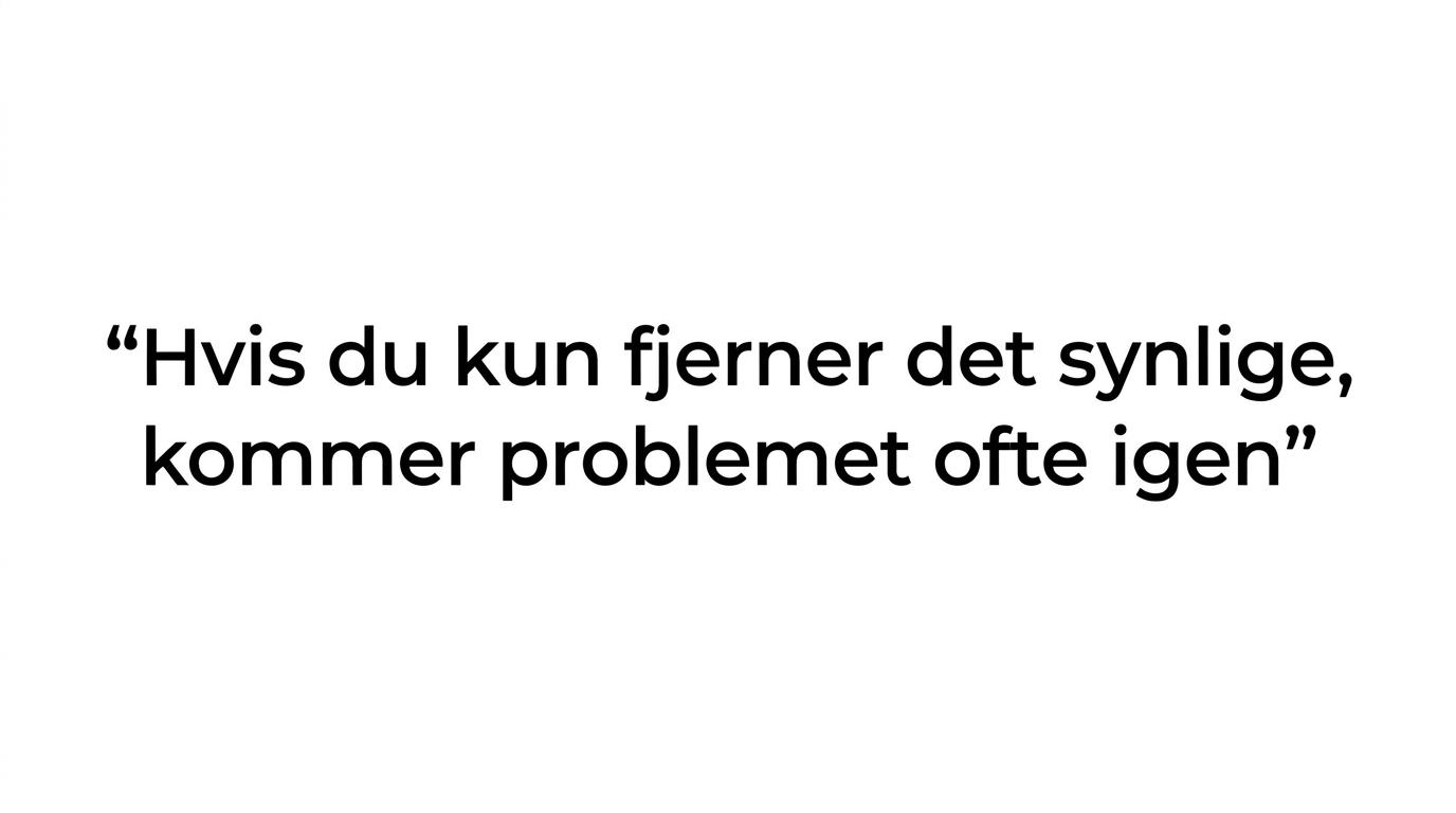 Quotegrafik med budskabet om, at problemet ofte kommer igen, hvis man kun fjerner det synlige.