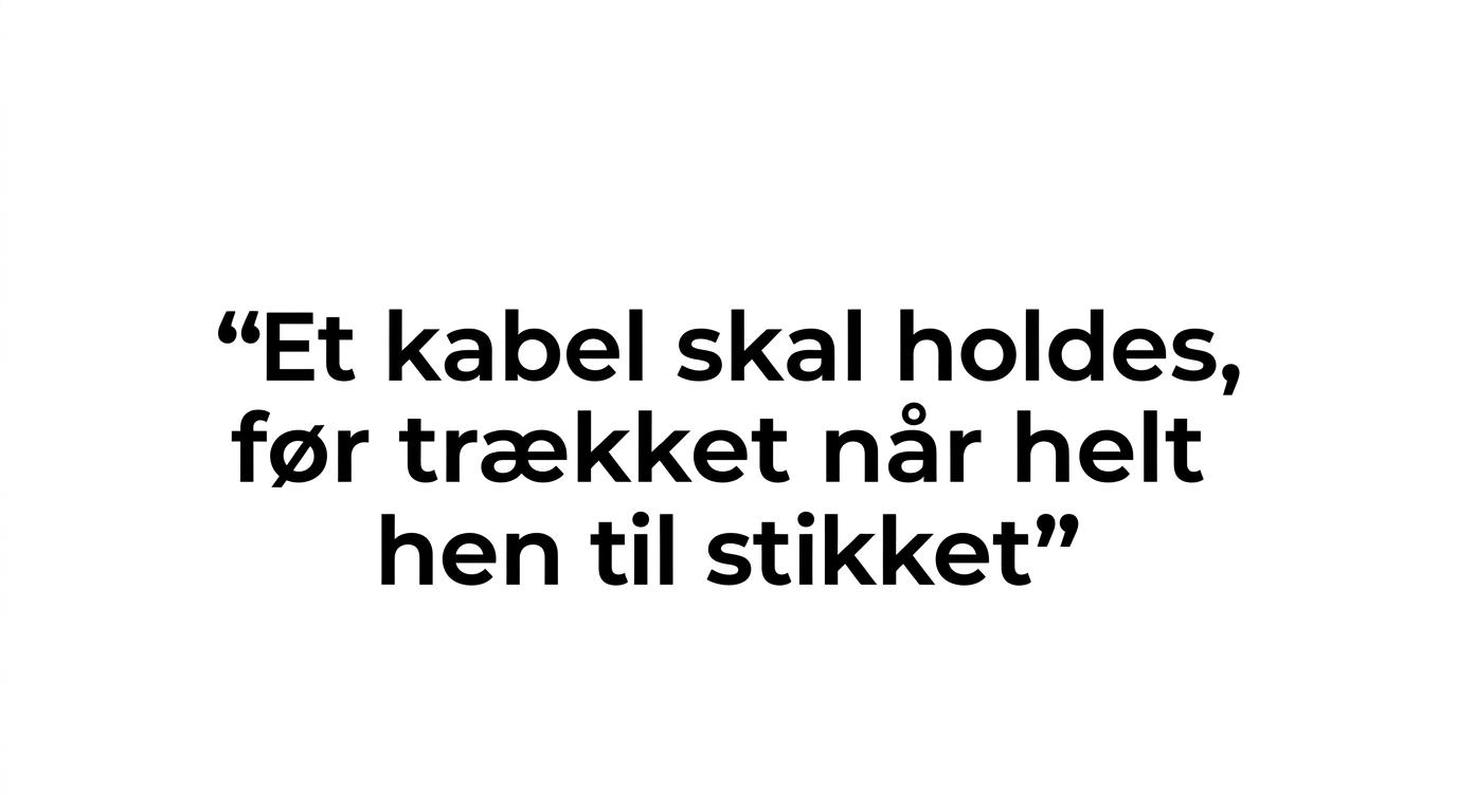 Citatkort med en kort huskeregel om at holde kablet, før trækket når stikket.