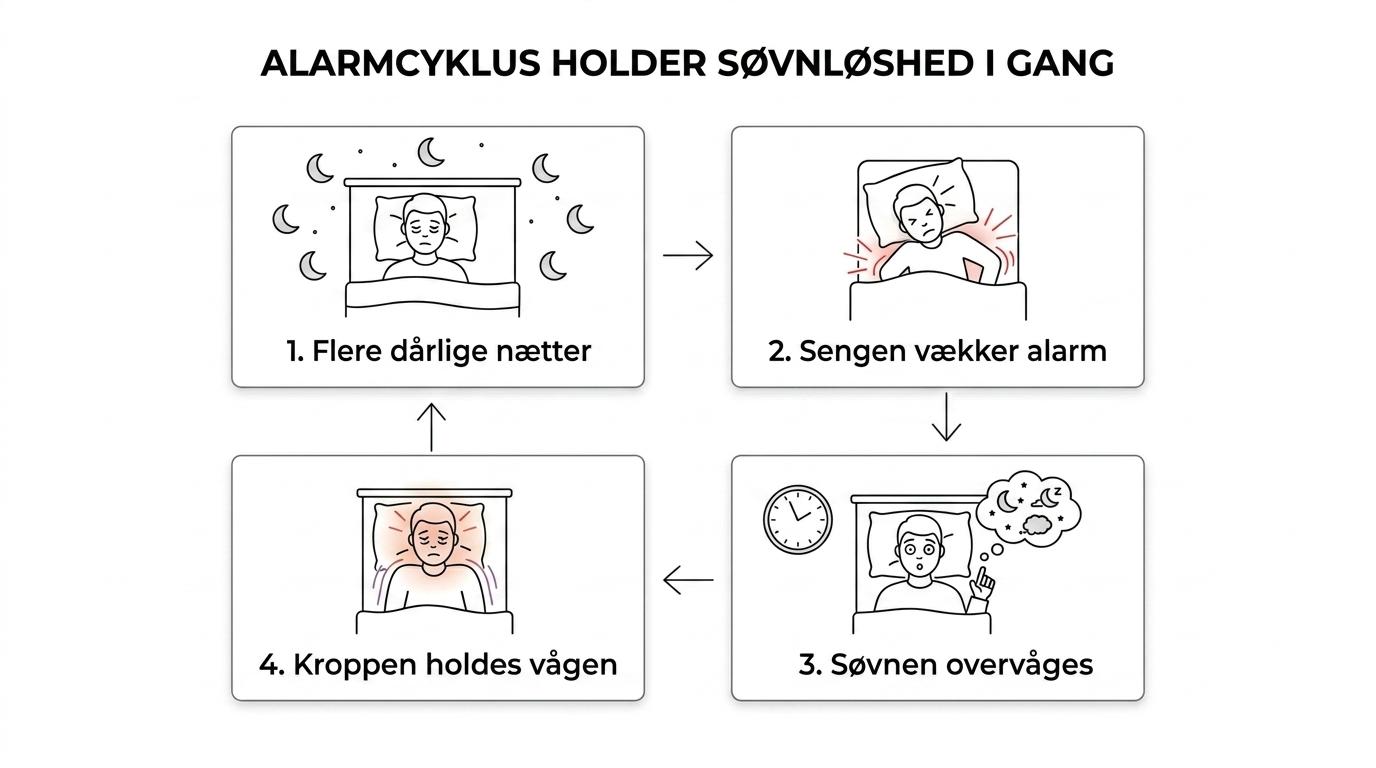 Flowdiagram over søvnløshedens onde cirkel: belastning og alarm i kroppen, svært ved at sove, træthed dagen efter og øget bekymring ved sengetid.