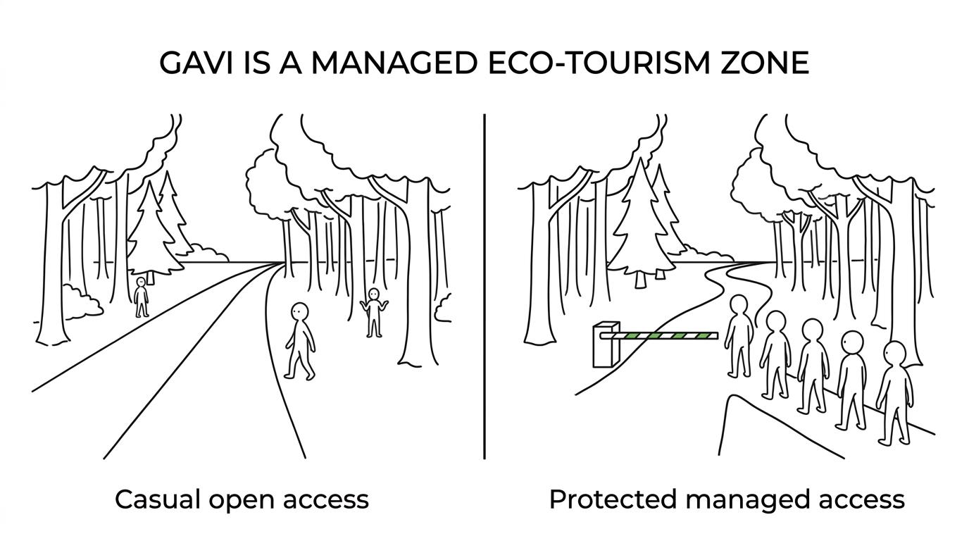Side-by-side comparison of Gavi’s regulated eco-tourism model versus a typical casual forest outing.