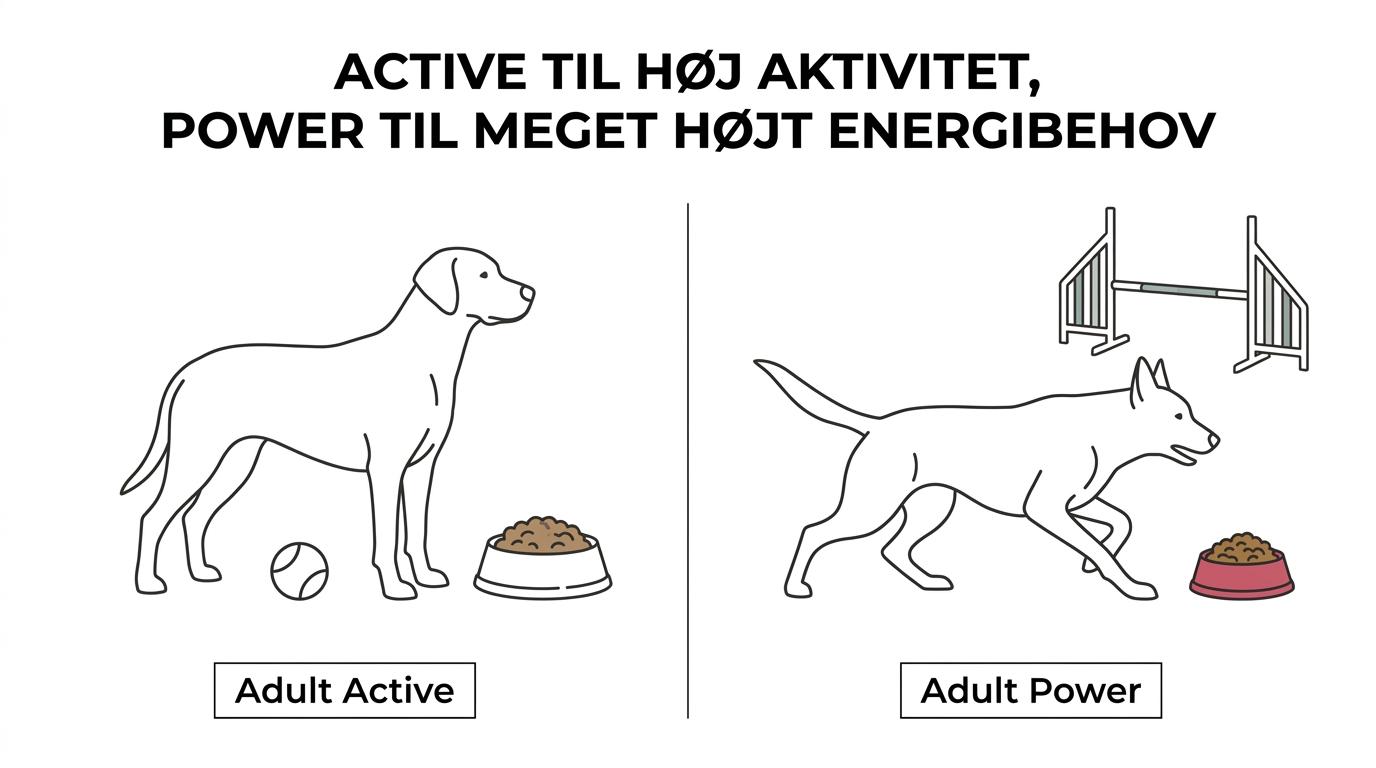 Side om side-sammenligning af Belcando Adult Active og Adult Power med protein, fedt, målgruppe og typisk anvendelse.