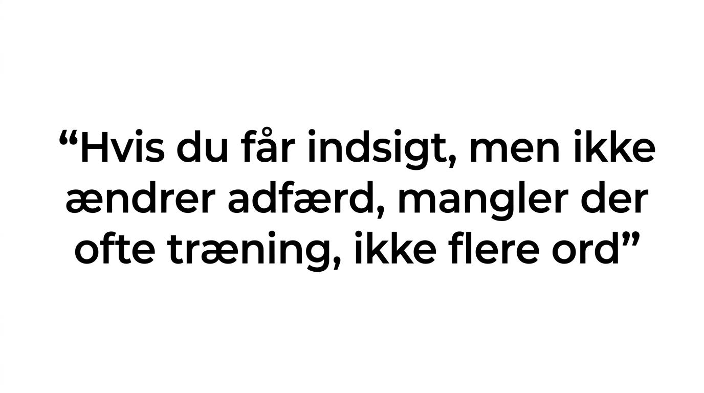 Citatkort med budskabet om, at problemet ofte ikke er mangel på indsigt, men mangel på stabil udførelse, grænser og fokus.