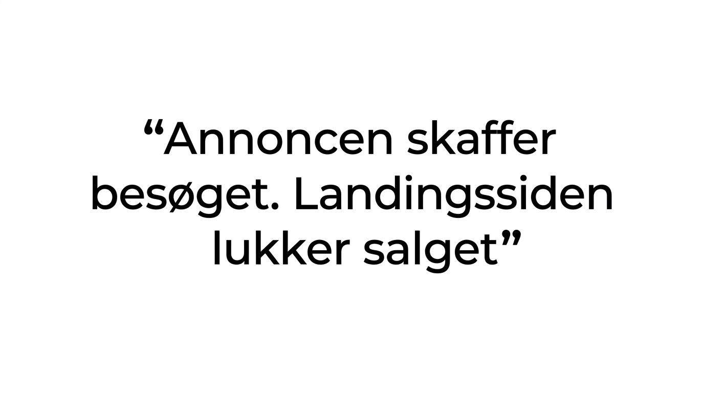 Fremhævet citat med teksten: Annoncen skaffer besøget. Landingssiden lukker salget.