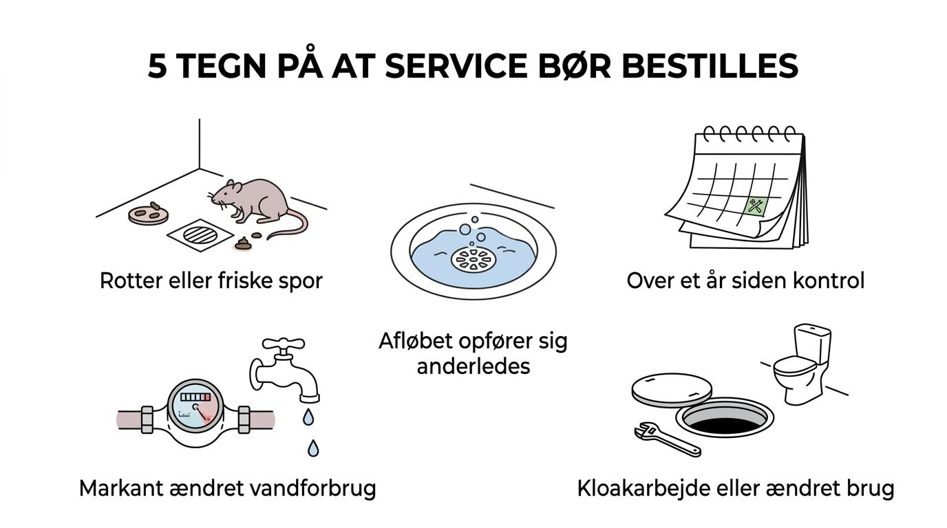Illustration showing five signs that a rat barrier needs service: rat sightings, unusual drain behavior, overdue inspection, lower water use, and recent sewer or building changes.