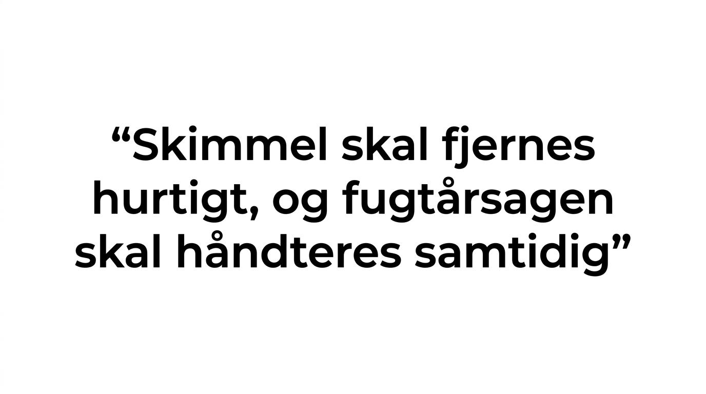 Fremhævet citat om, at skimmel skal fjernes hurtigt, og fugtårsagen skal løses samtidig.