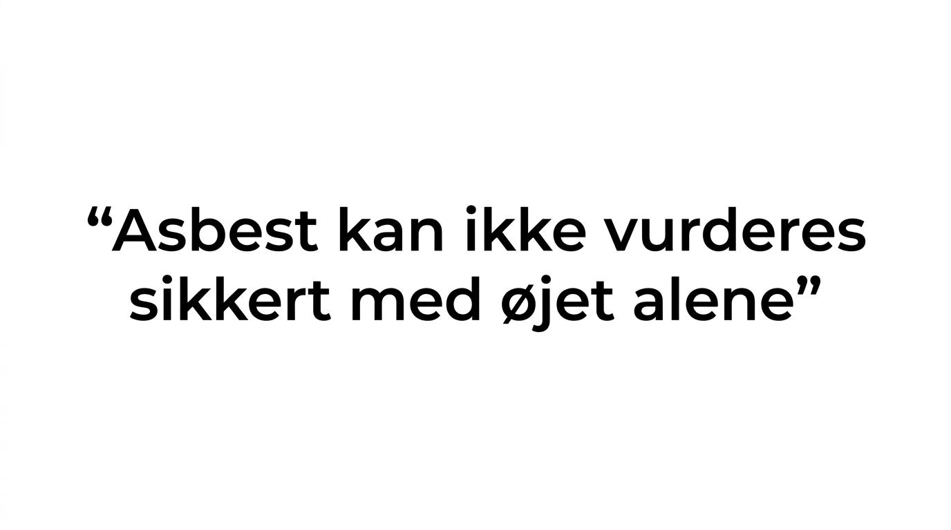 Fremhævet citat med budskabet om, at asbest ikke kan afgøres sikkert med øjet alene.