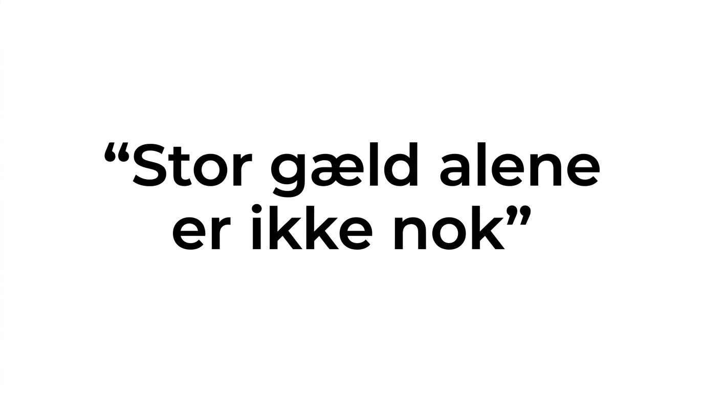 Fremhævet citat om at stor gæld i sig selv ikke er nok til at få gældssanering.