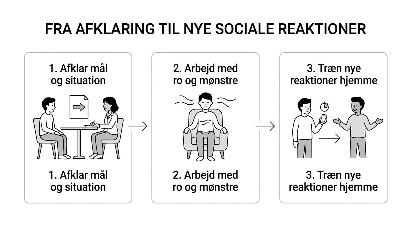 Et trinvis forløb fra første afklaring af generthed til hypnosebehandling og daglig selvhypnose hjemme.