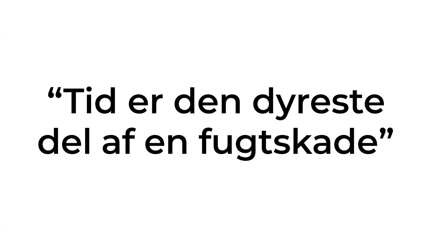 Stor typografisk fremhævning af citatet 'Tid er den dyreste del af en fugtskade.'