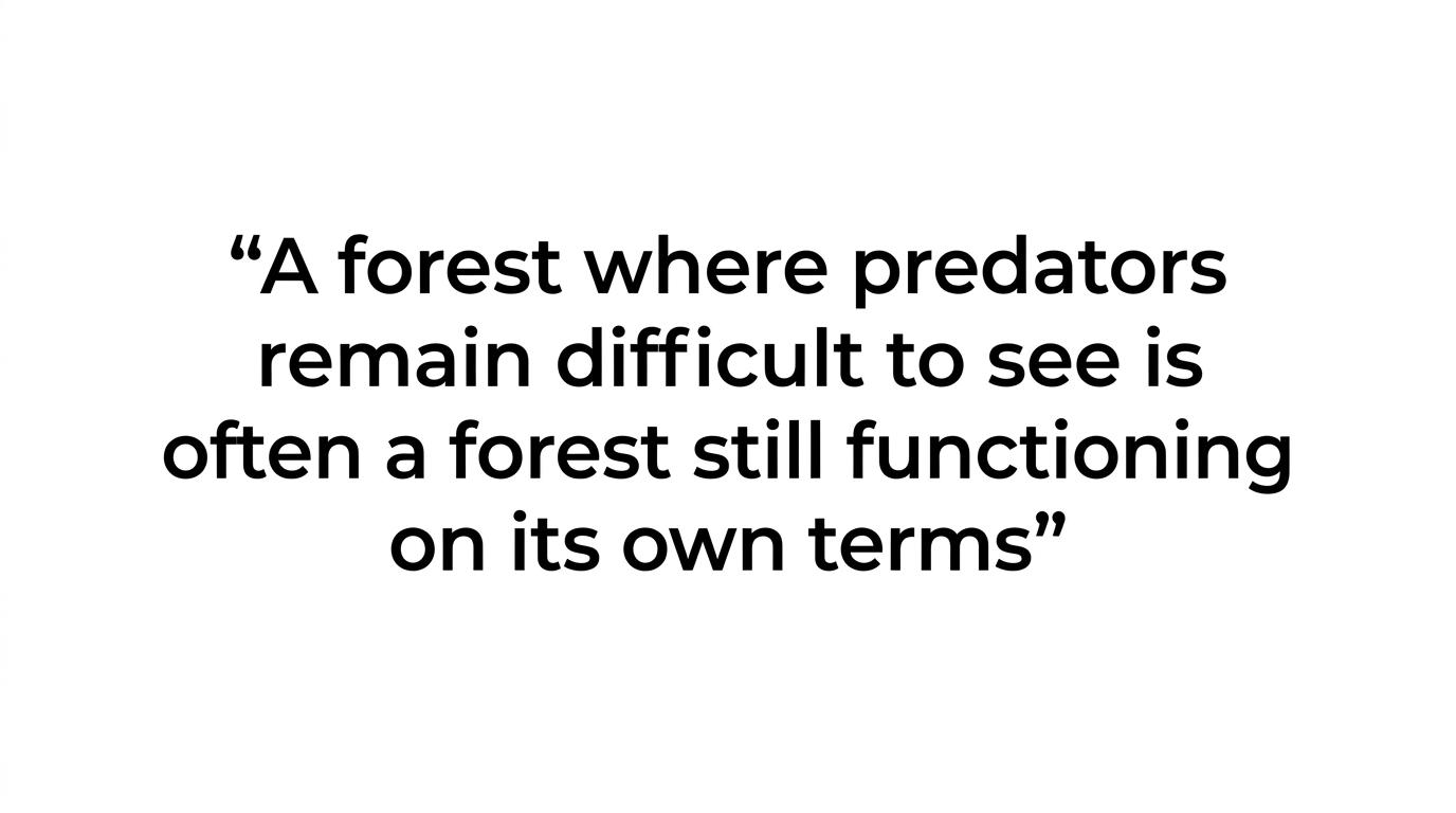 Highlighted quote stating that predators being hard to see can mean the forest is still functioning on its own terms.