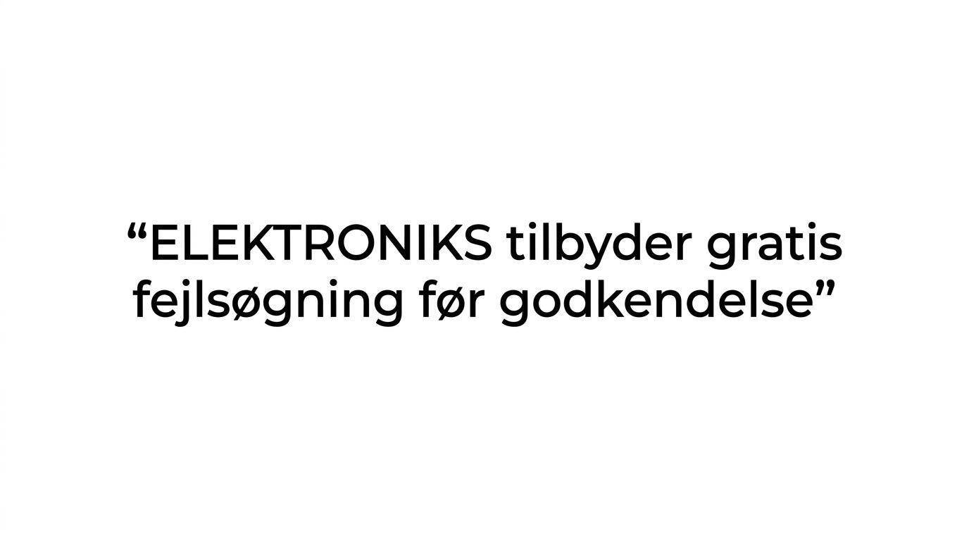 Fremhævet citat om gratis fejlsøgning før godkendelse og mange reparationer samme dag.