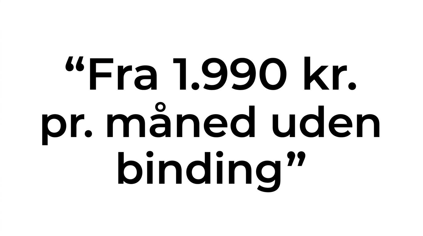 Fremhævet citat om abonnementsbaserede marketingydelser fra 1.990 kr. pr. måned uden binding.