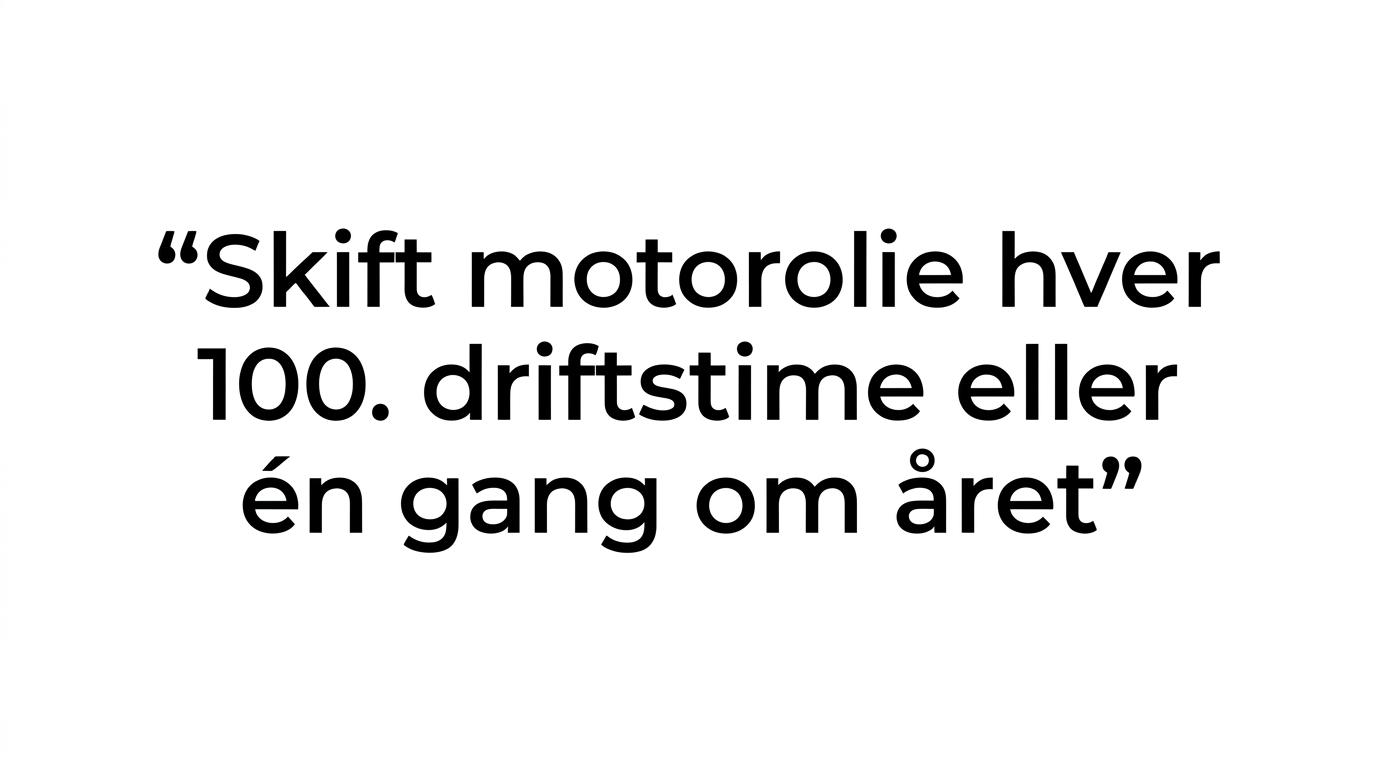Fremhævet citat med anbefalingen om olieskift hver 100. driftstime eller én gang om året.