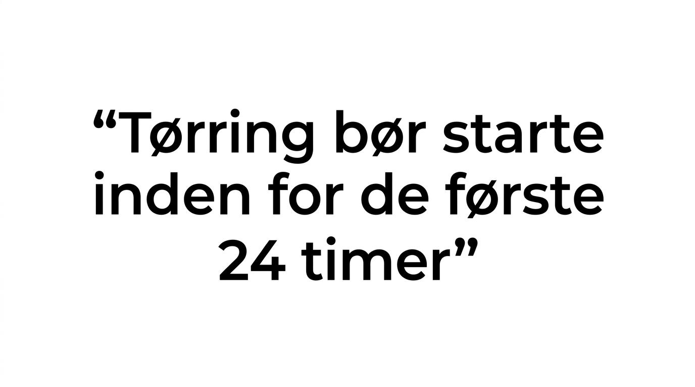 Fremhævet citat om at tørring bør starte inden for de første 24 timer ved vandskade.