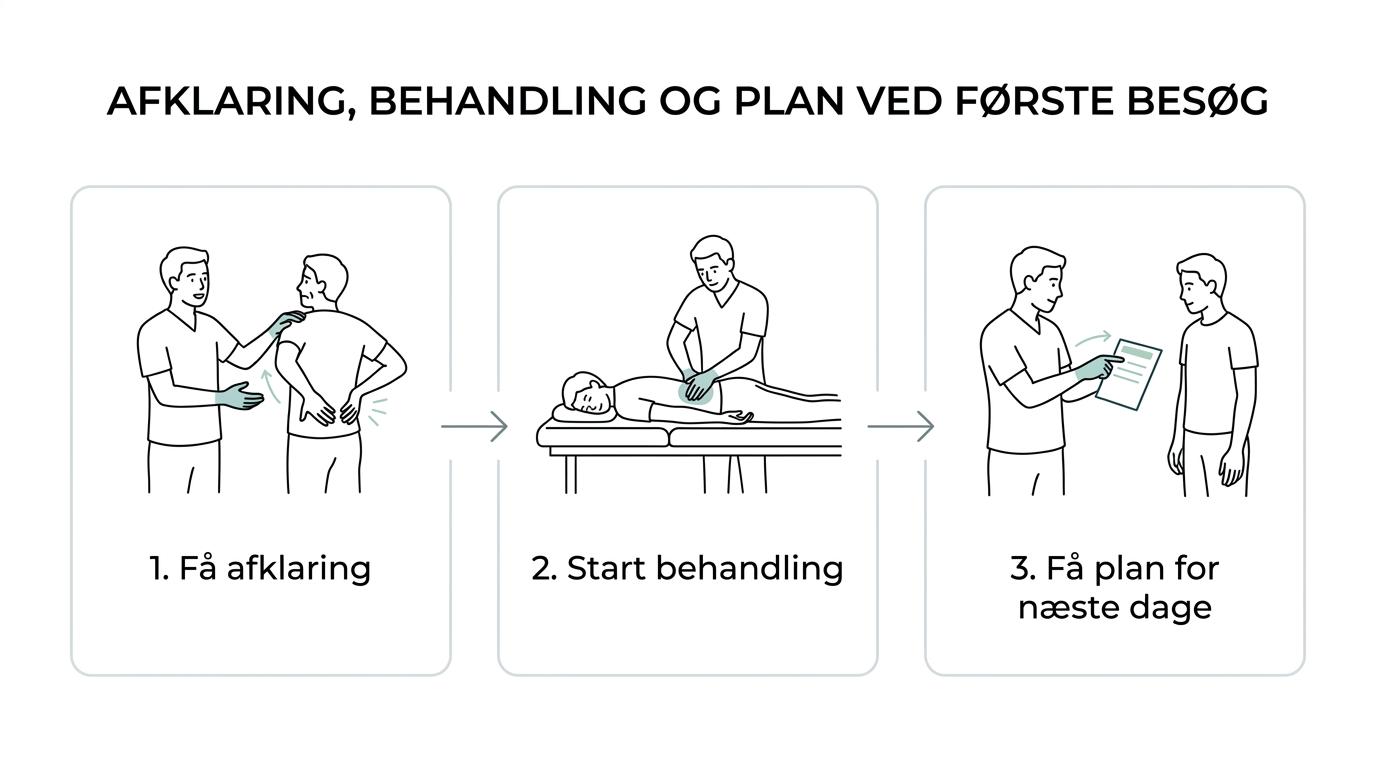 Flowdiagram over et akut fysioterapiforløb med vurdering, manuel behandling, råd til hverdagen og plan for opfølgning.