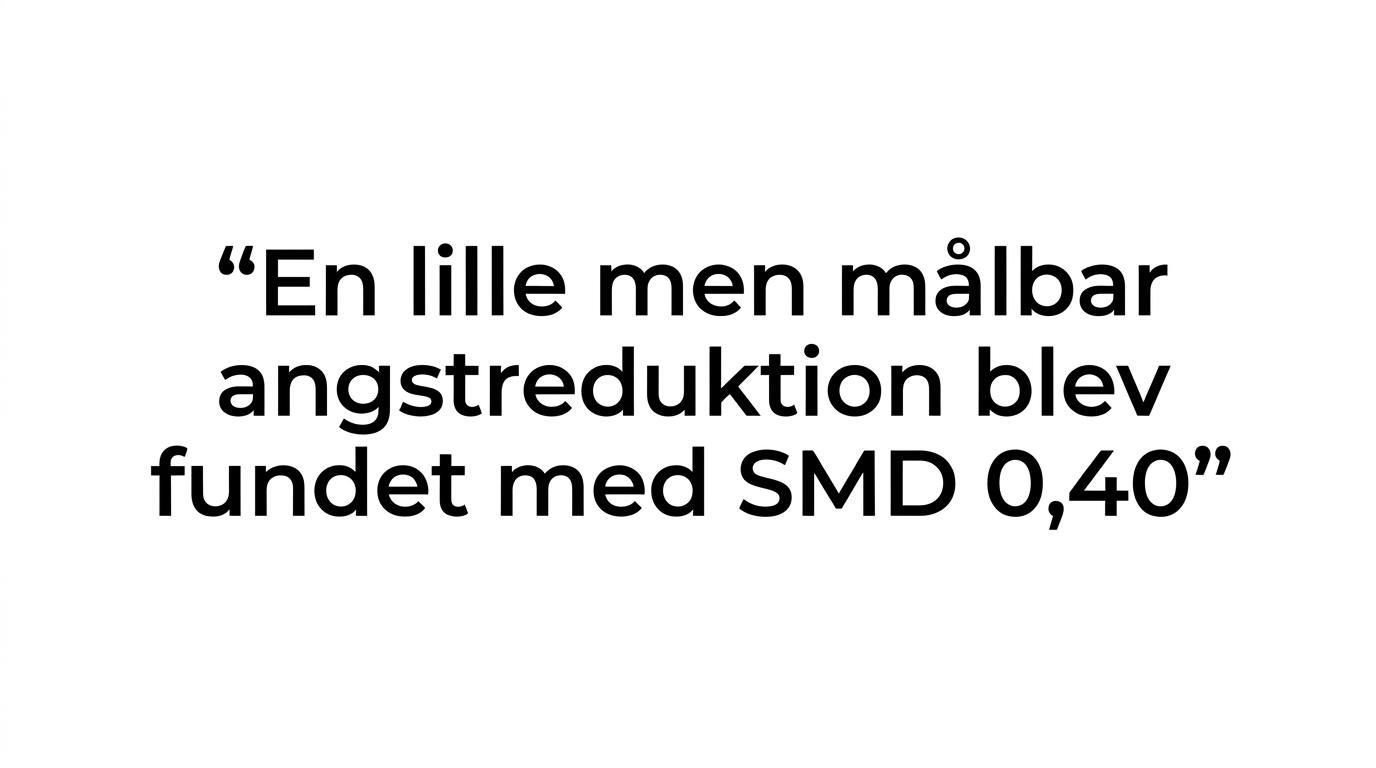 Highlighted quote stating that a 2024 meta-analysis found a small but measurable anxiety reduction with weighted blankets.
