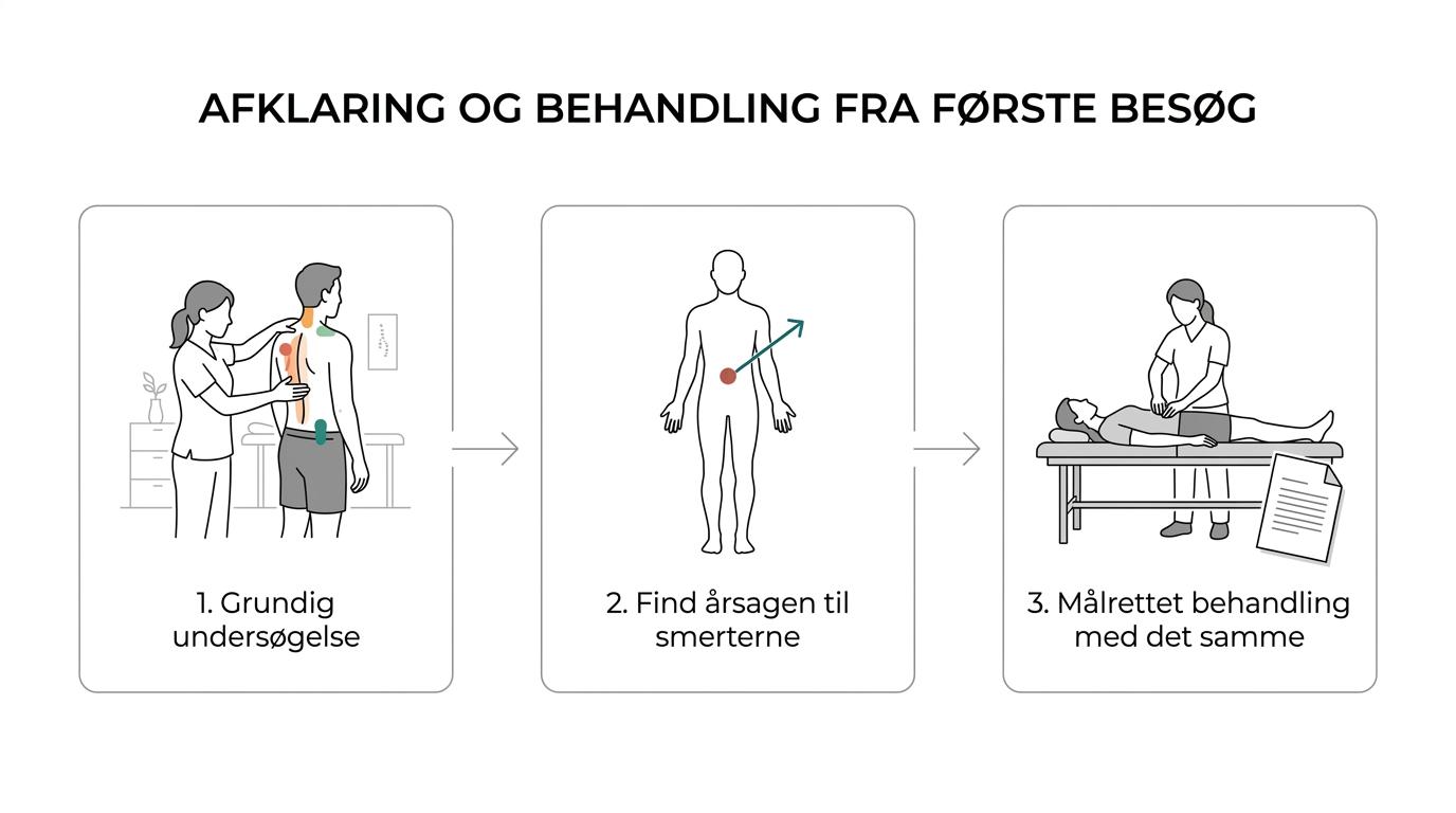 Illustreret forløb med første konsultation, undersøgelse af ryg og relaterede områder, manuel behandling og plan for videre forløb.