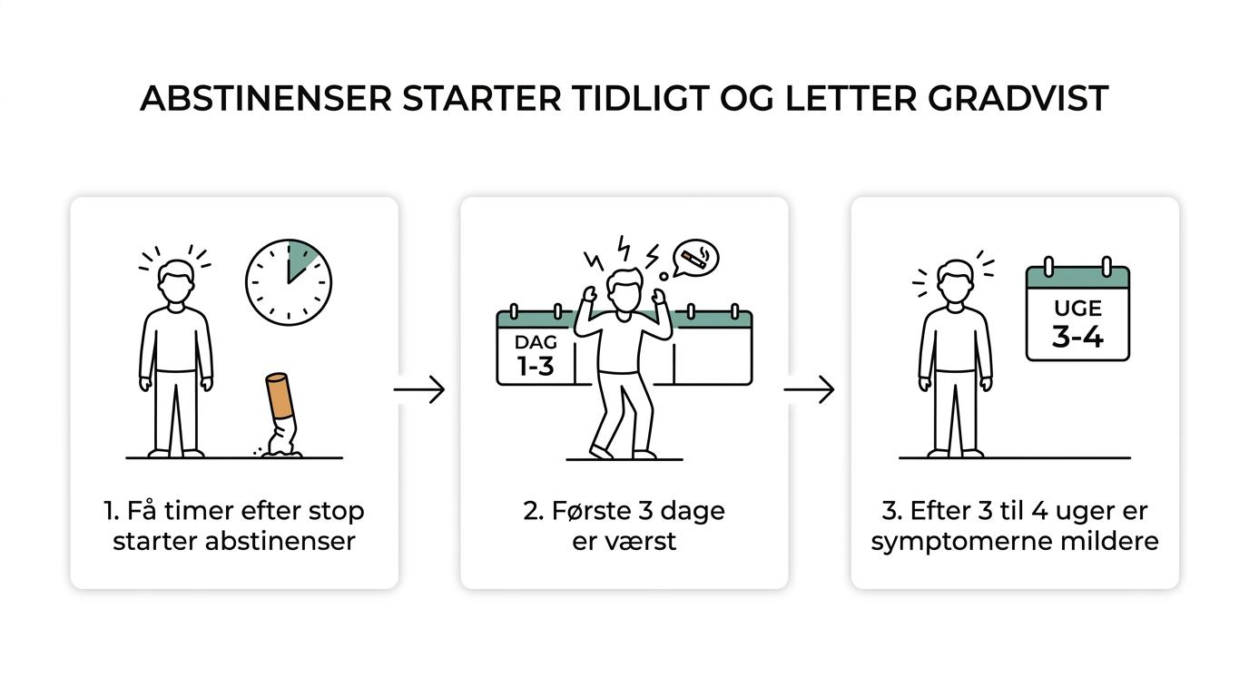 Tidslinje for rygestop med faser fra få timer efter sidste cigaret til 3-4 uger, hvor abstinenser er værst i starten og derefter aftager.