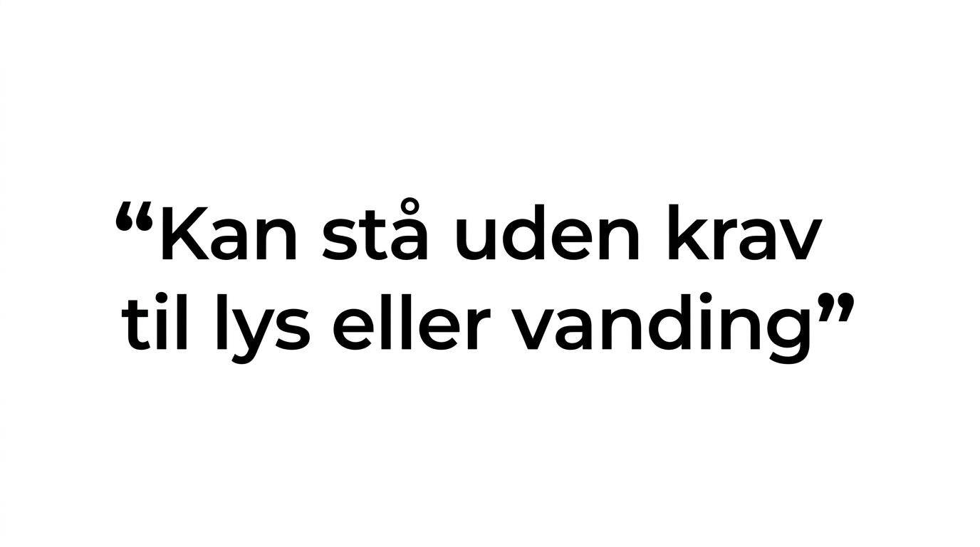 Typographic quote stating that an artificial floor plant can stand in dark corners and humid rooms without needing light or watering.