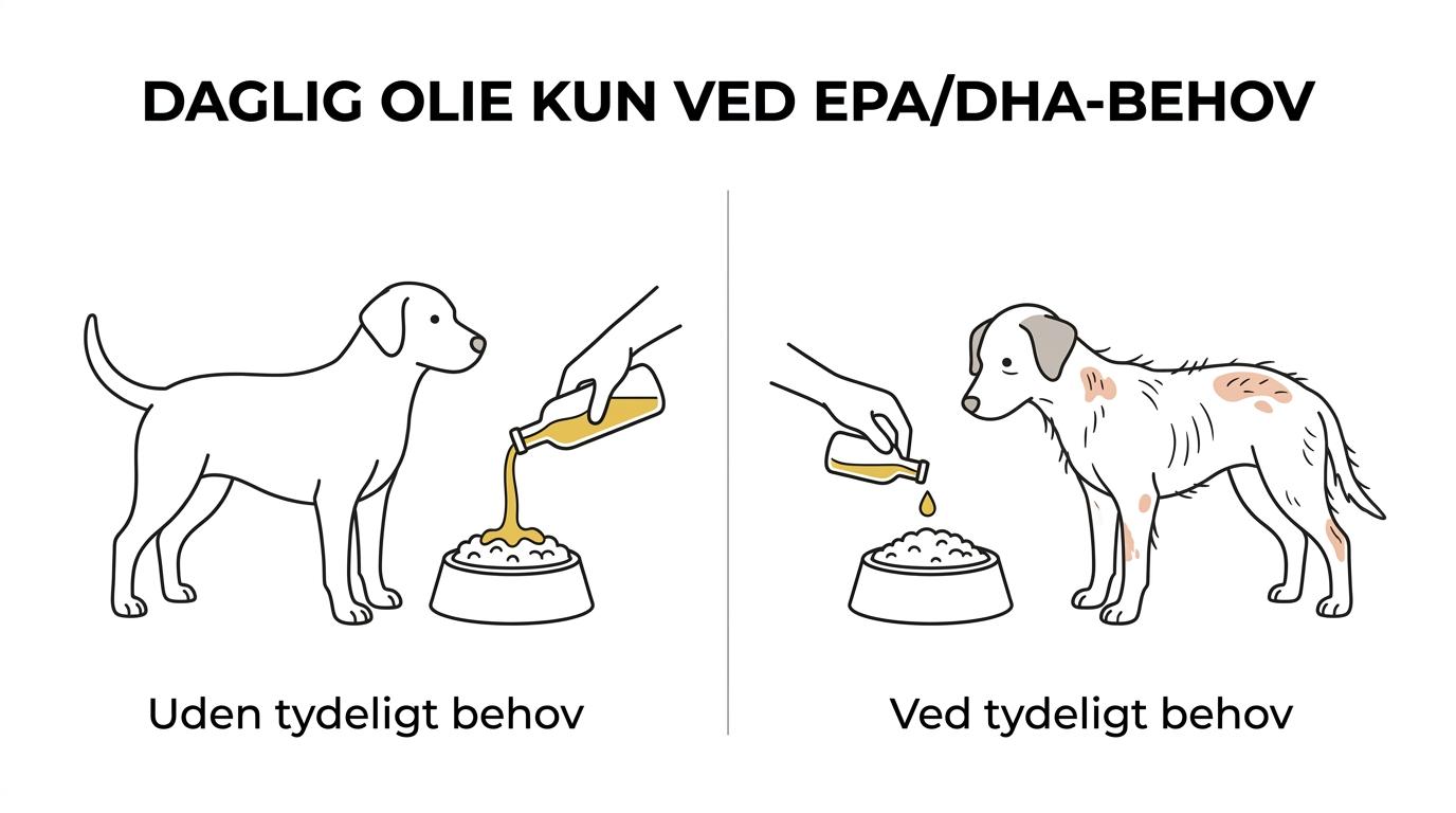 Sammenligning mellem en hund, der kan have gavn af daglig olie, og en hund på balanceret fuldfoder, hvor ekstra olie ofte ikke er nødvendig.