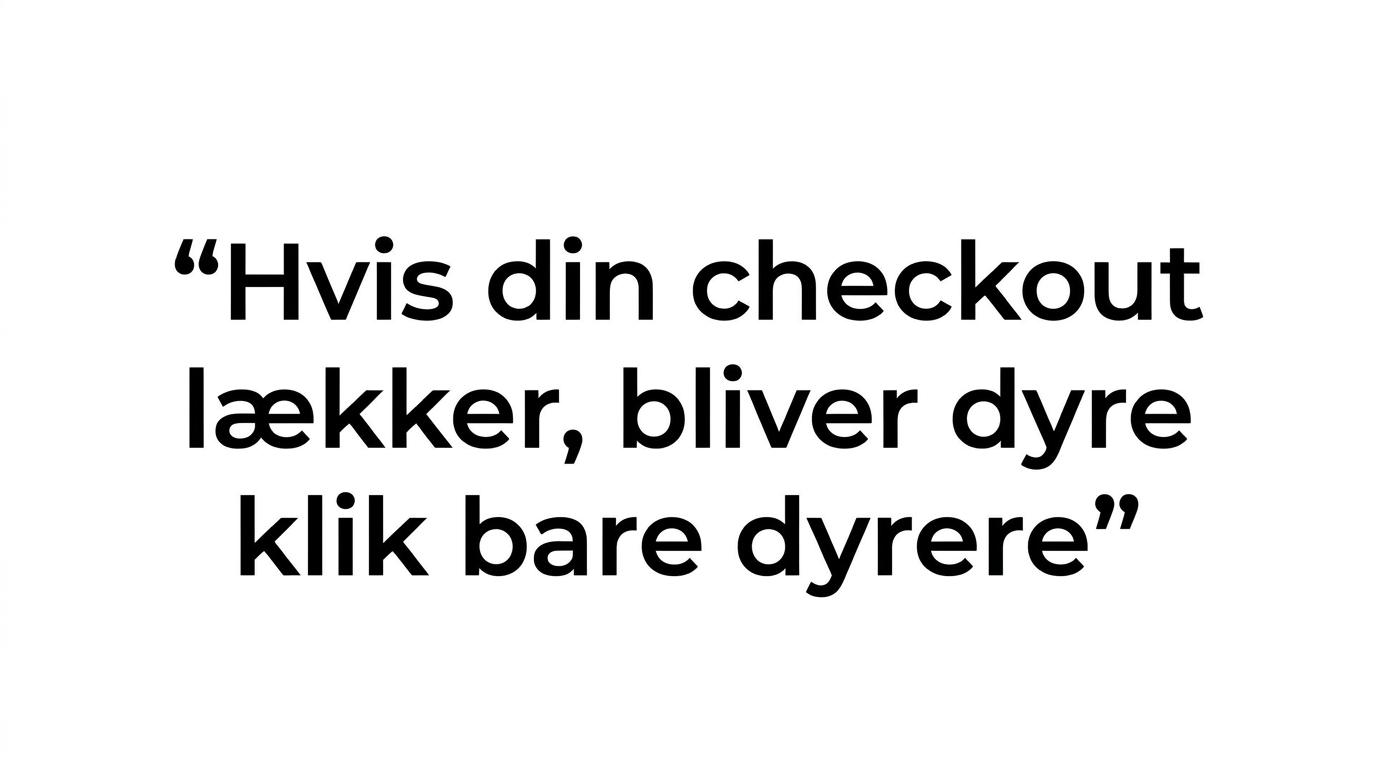 Quote card med teksten om at en utæt checkout gør dyre klik dyrere.