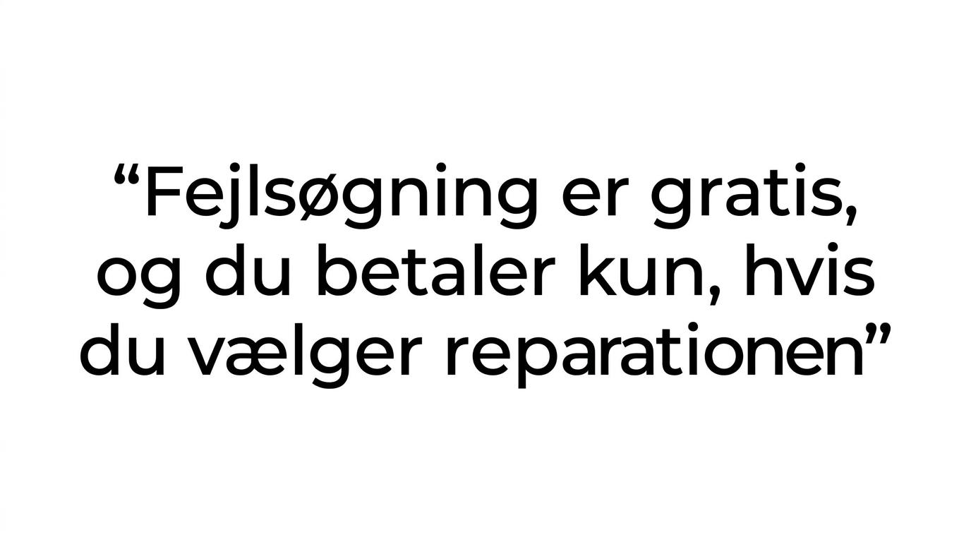 Citatgrafik med budskabet om gratis fejlsøgning og betaling kun ved valgt reparation.