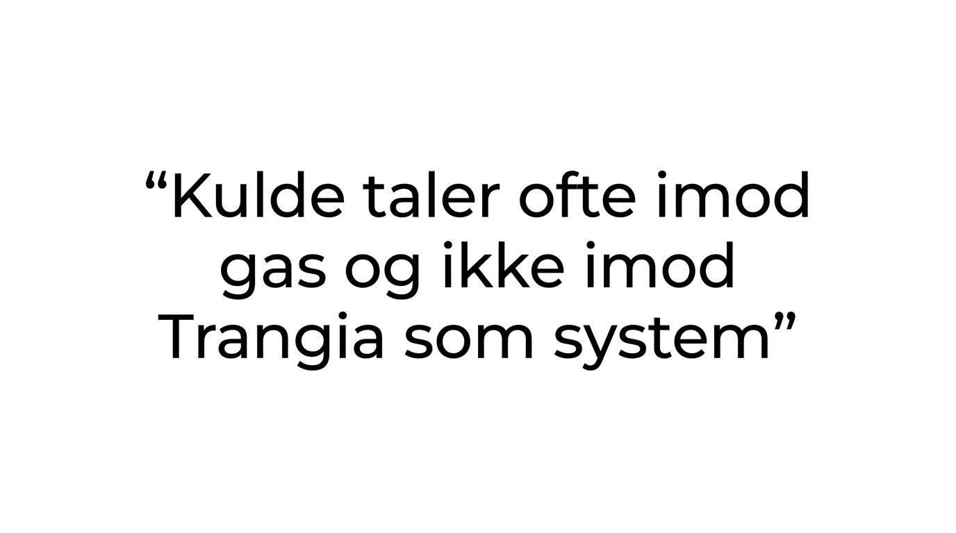 Et citatkort med pointen om, at kulde typisk er en udfordring for gas og ikke for Trangia-systemet som helhed.