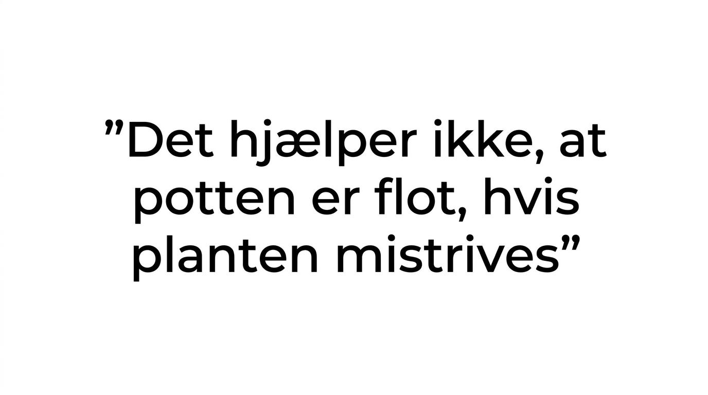 Citatgrafik med teksten: 'Lad lyset bestemme før stilen.'