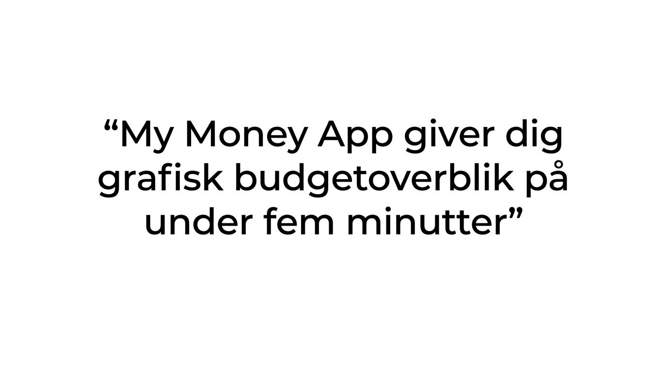 Et fremhævet citat med teksten om grafisk budgetoverblik på under fem minutter.