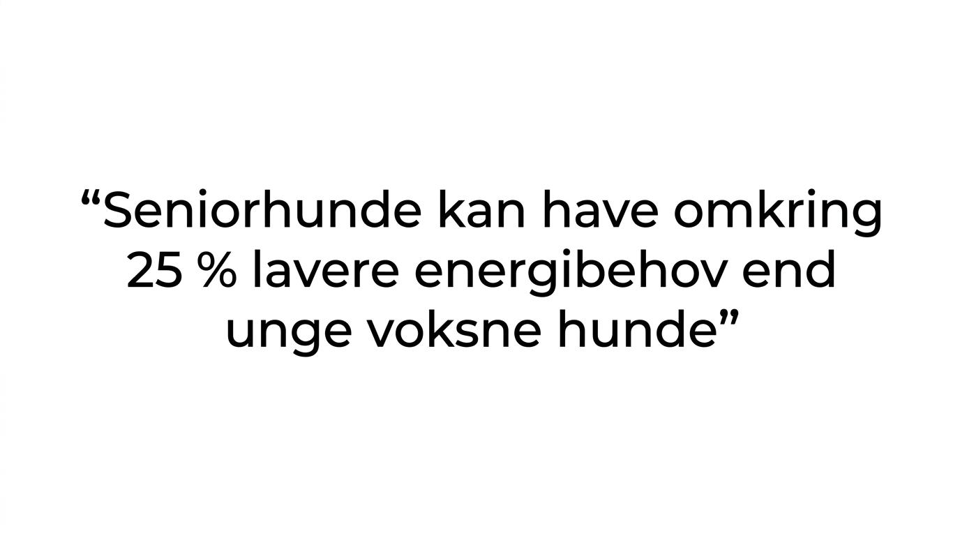 Quote card med budskabet om at seniorhunde kan have cirka 25 procent lavere energibehov.